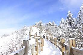 Xiling Snow Mountain 